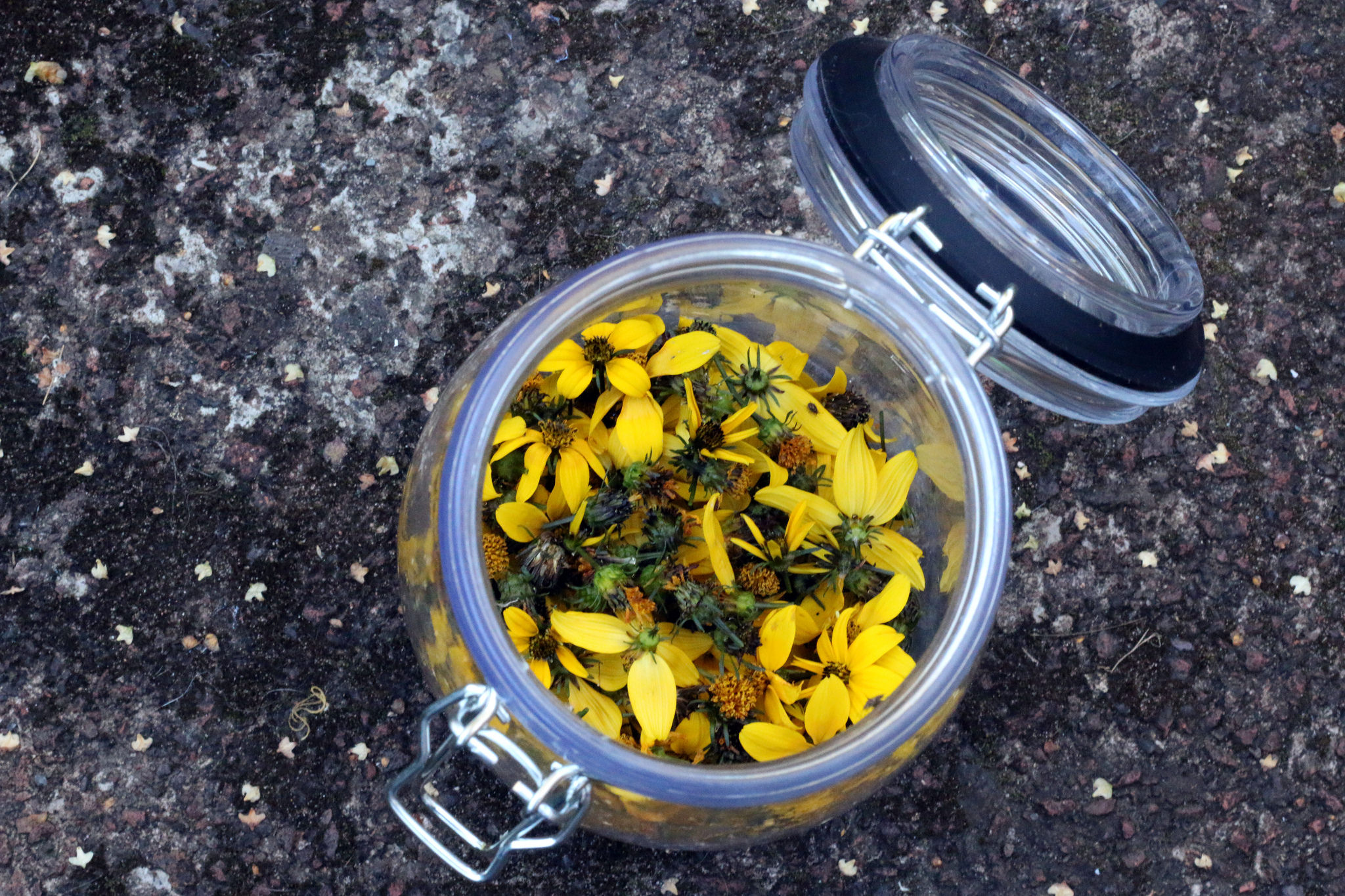 Bocal contenant des fleurs jaunes