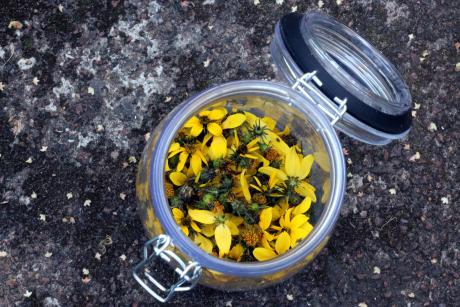 Bocal contenant des fleurs jaunes